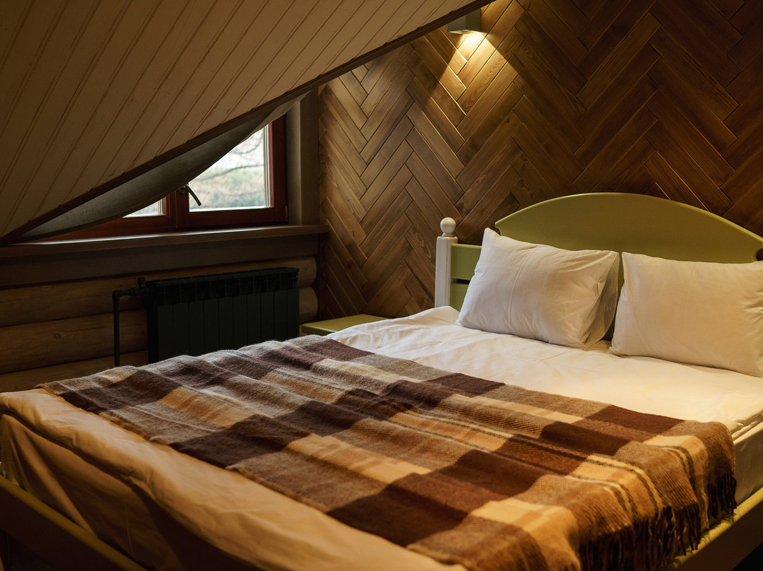 Active Hotel Gorki主图