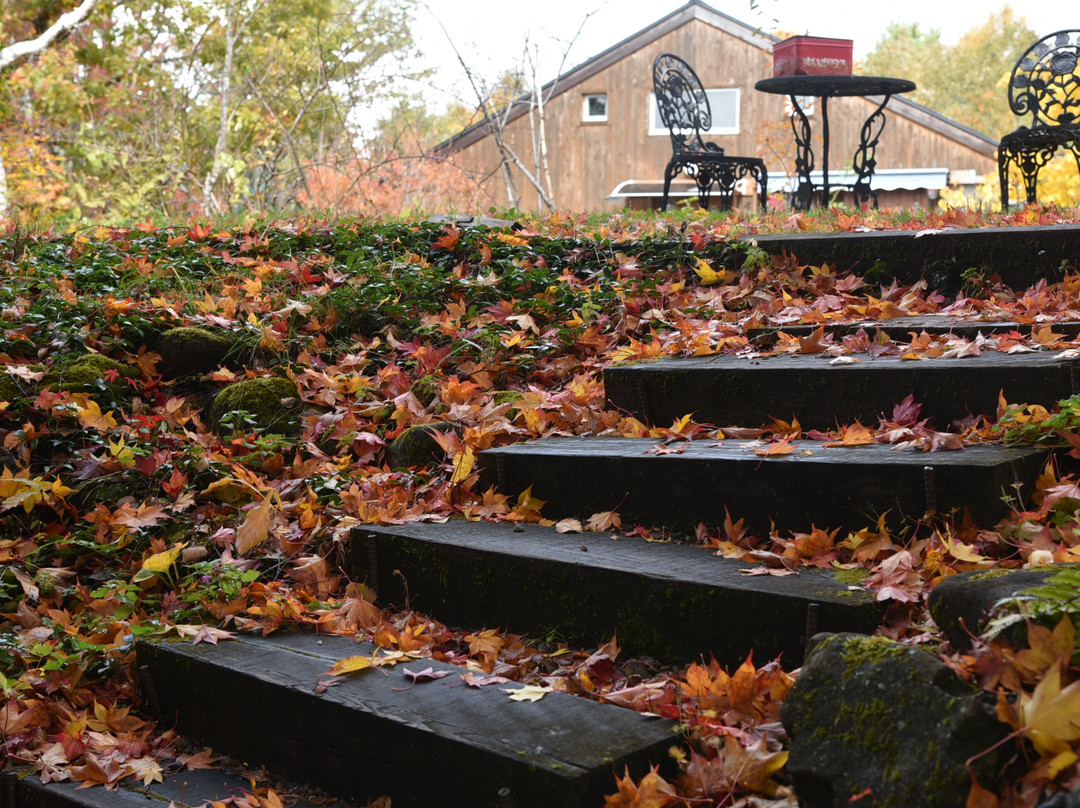 Pension Image House主图