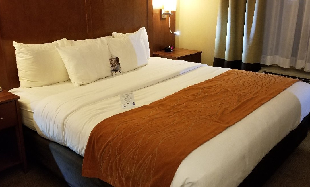 Comfort Inn & Suites主图