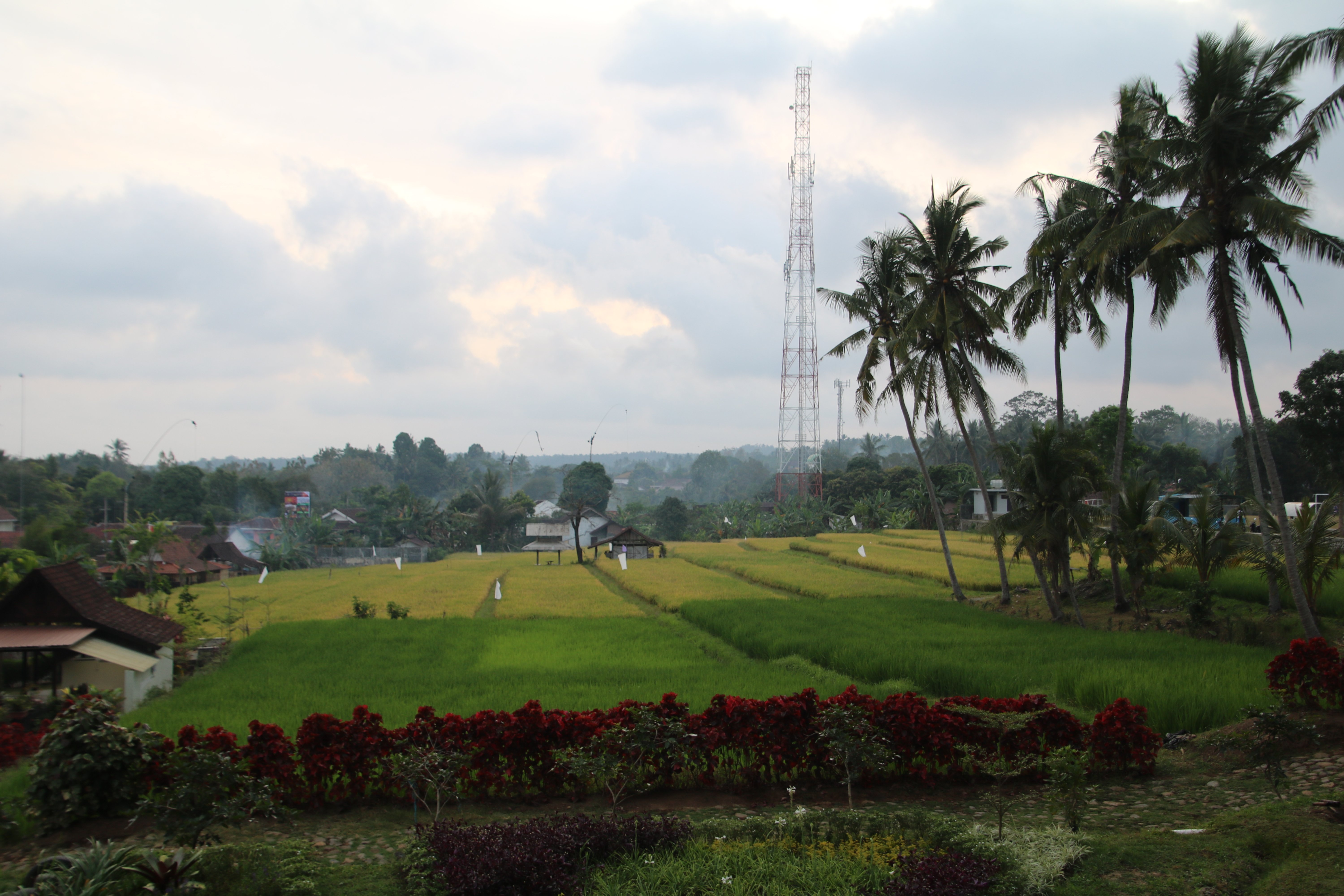 Banyu Homestay-浴室