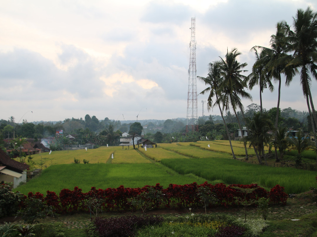 Banyu Homestay主图