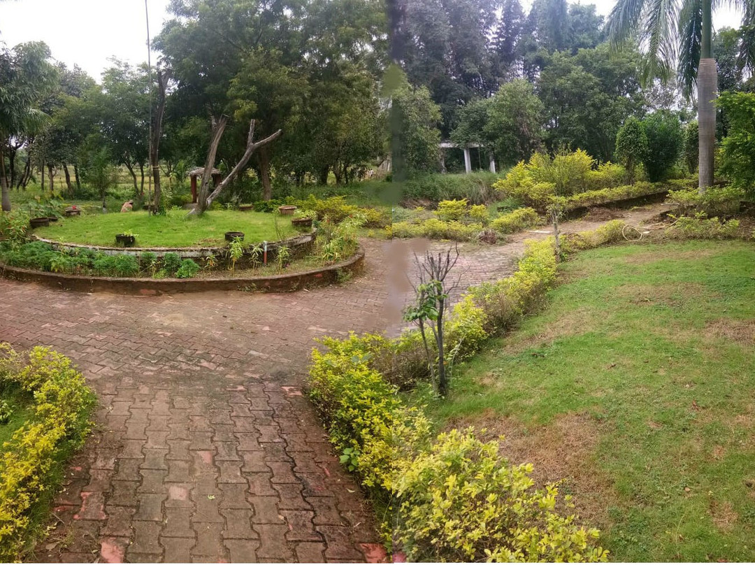 Tribal Woods Kanha主图