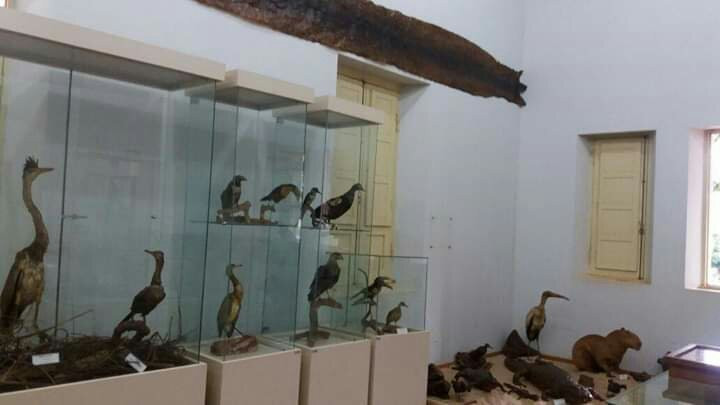 Sete Quedas Museum-Guaira必去景点