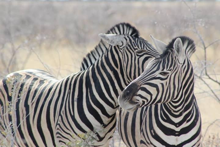 Marek Adventures-温德和克必去景点