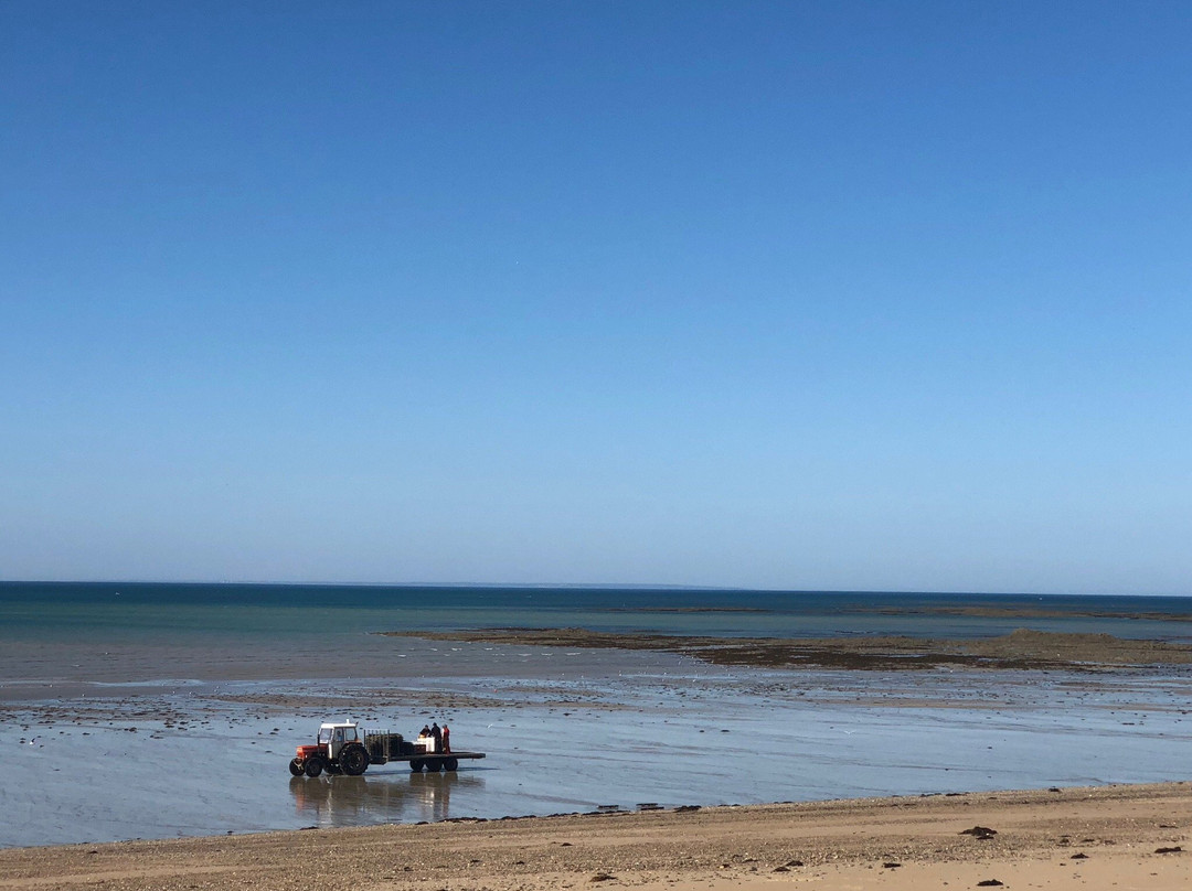 Plage, Agon-Coutainville景点图片