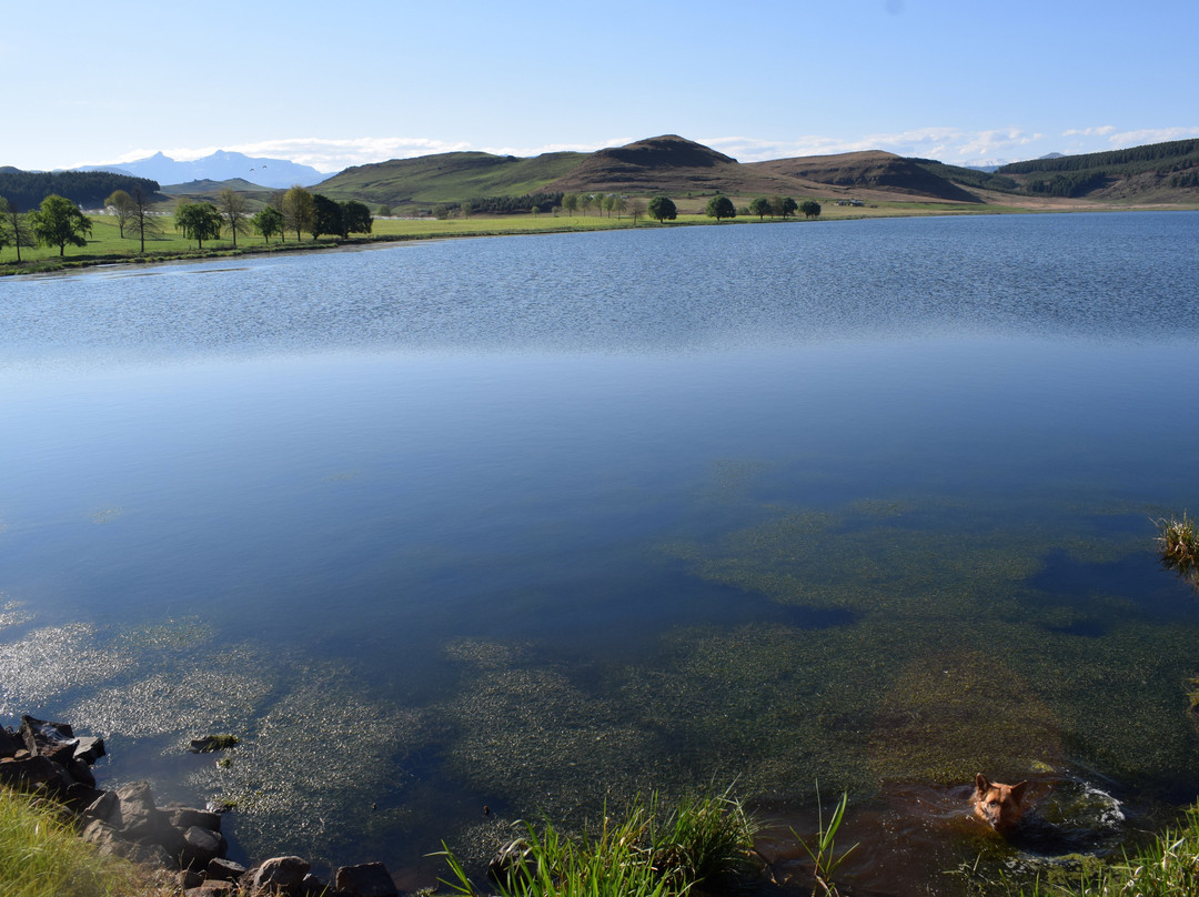 Elgin Guesthouse & Farm主图