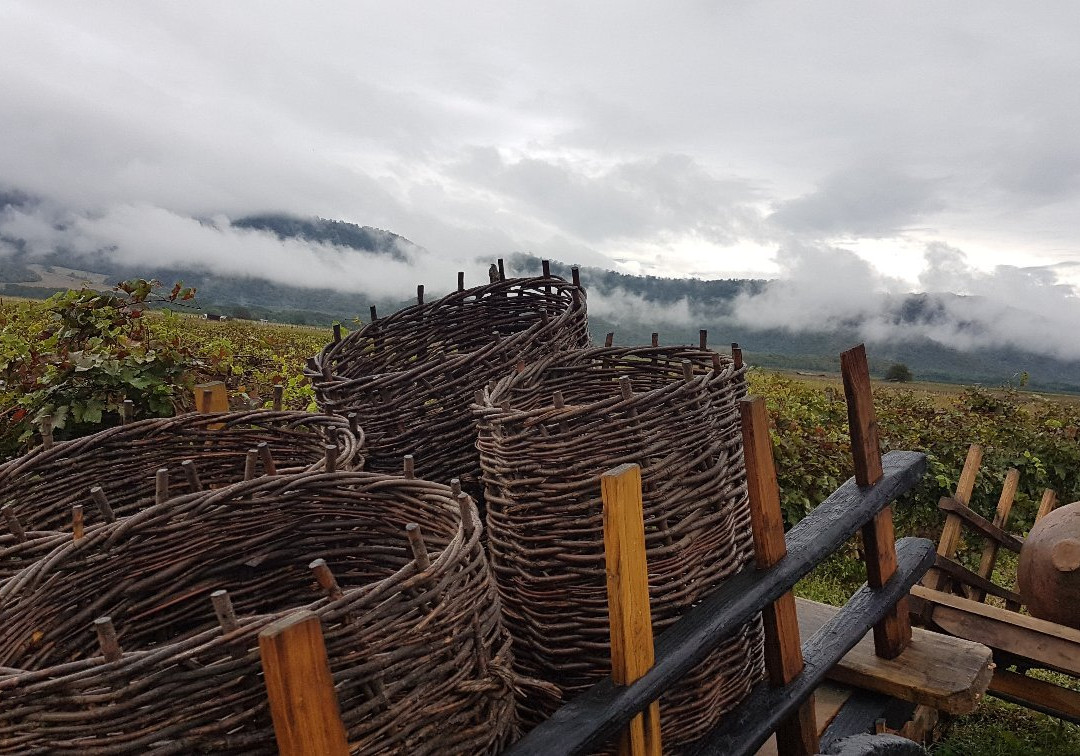 Javakhishvilis Cellar-Akhalsopeli必去景点