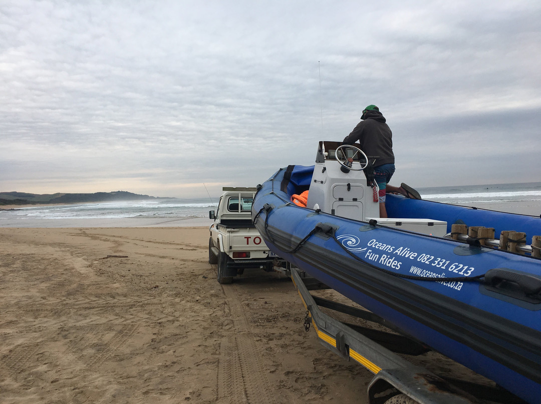 Oceans Alive-Scottburgh必去景点