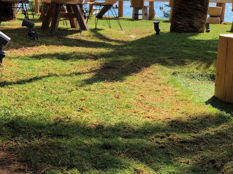 Liber Seaside Experience主图