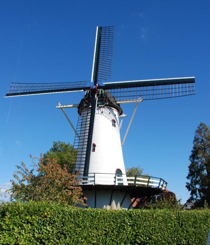 Molen De Vier Winden景点图片