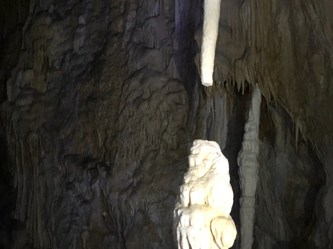 Grotta del Cervo景点图片
