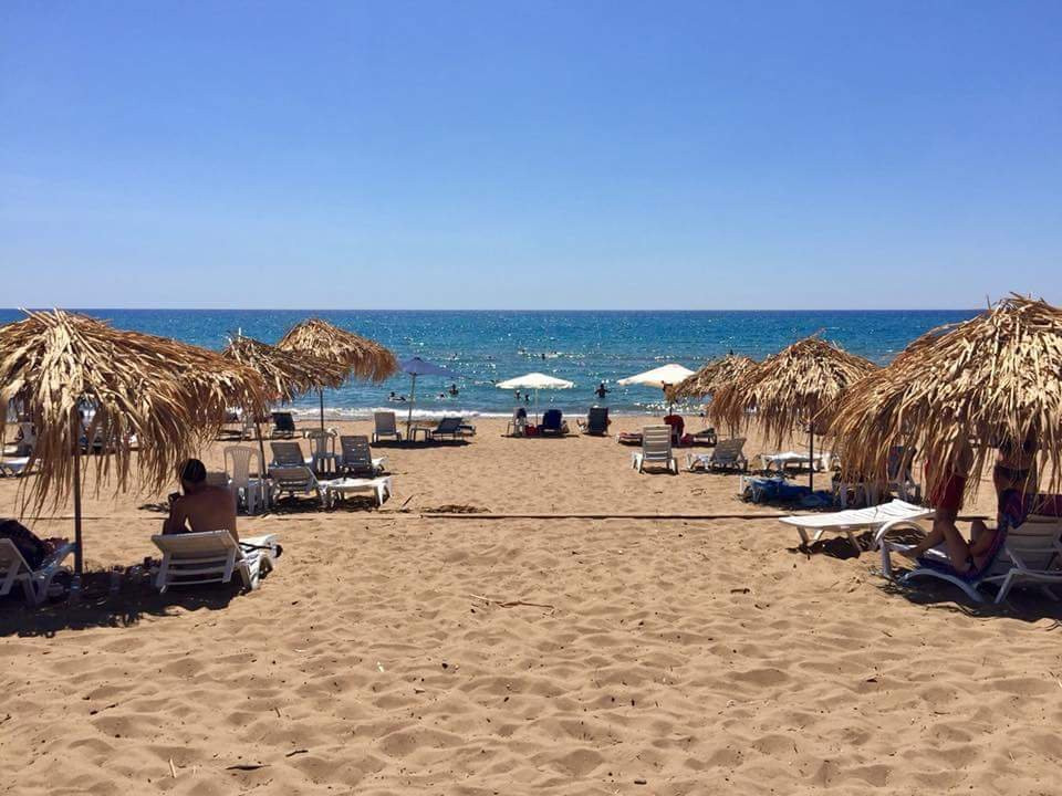 Seagull Beach Bar-Zacharo必去景点