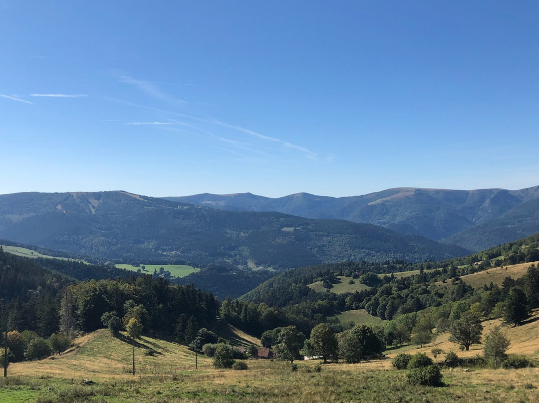 Wasserbourg餐馆和美食-Ferme Auberge Rothenbrunnen