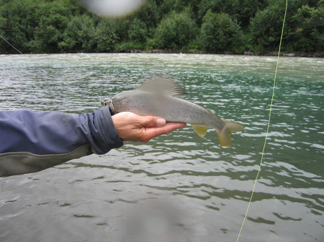 Denali Fly Fishing Guides景点图片