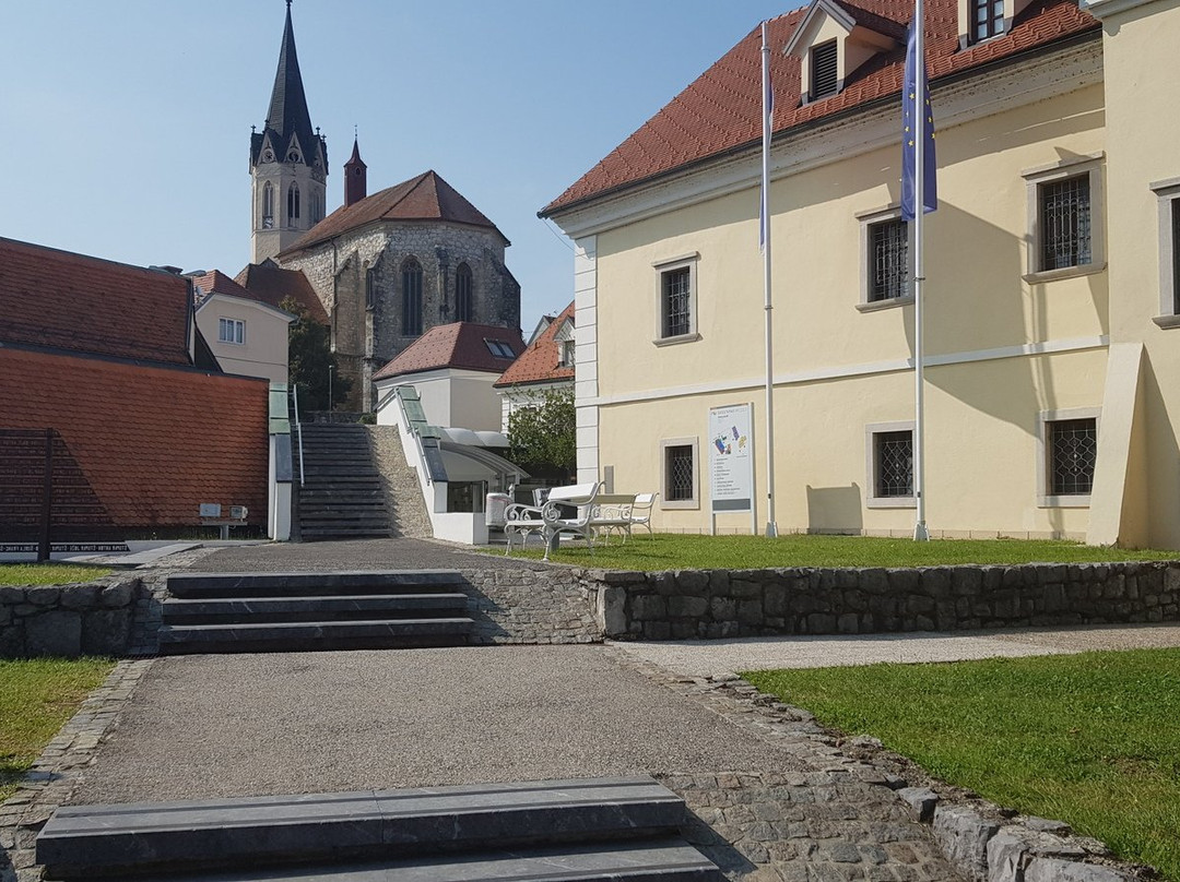 Museum of Dolenjska景点图片