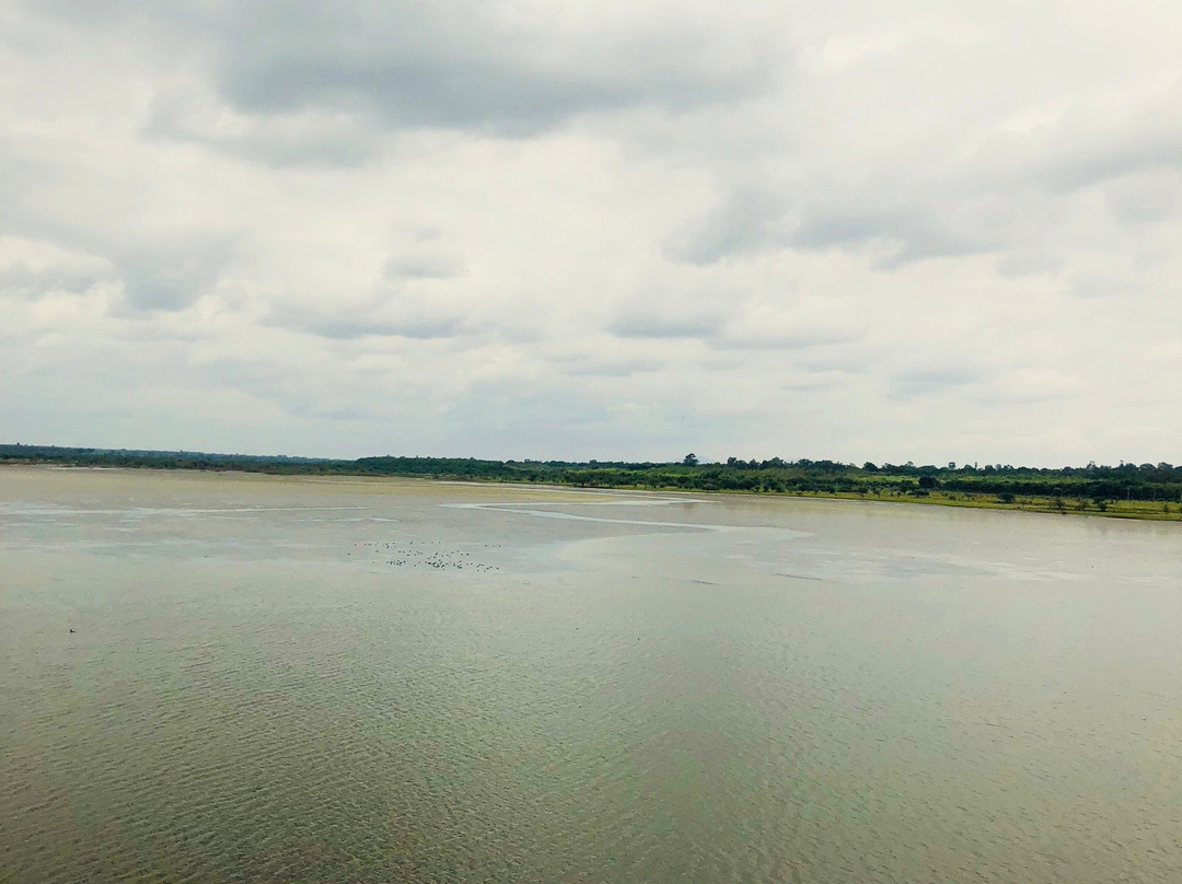 Hesaraghatta Lake-班加罗尔必去景点