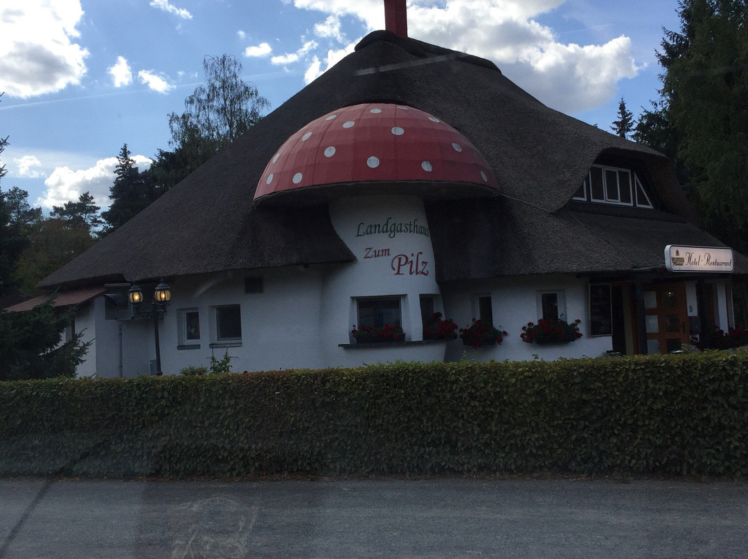 Landgasthaus Zum Pilz主图