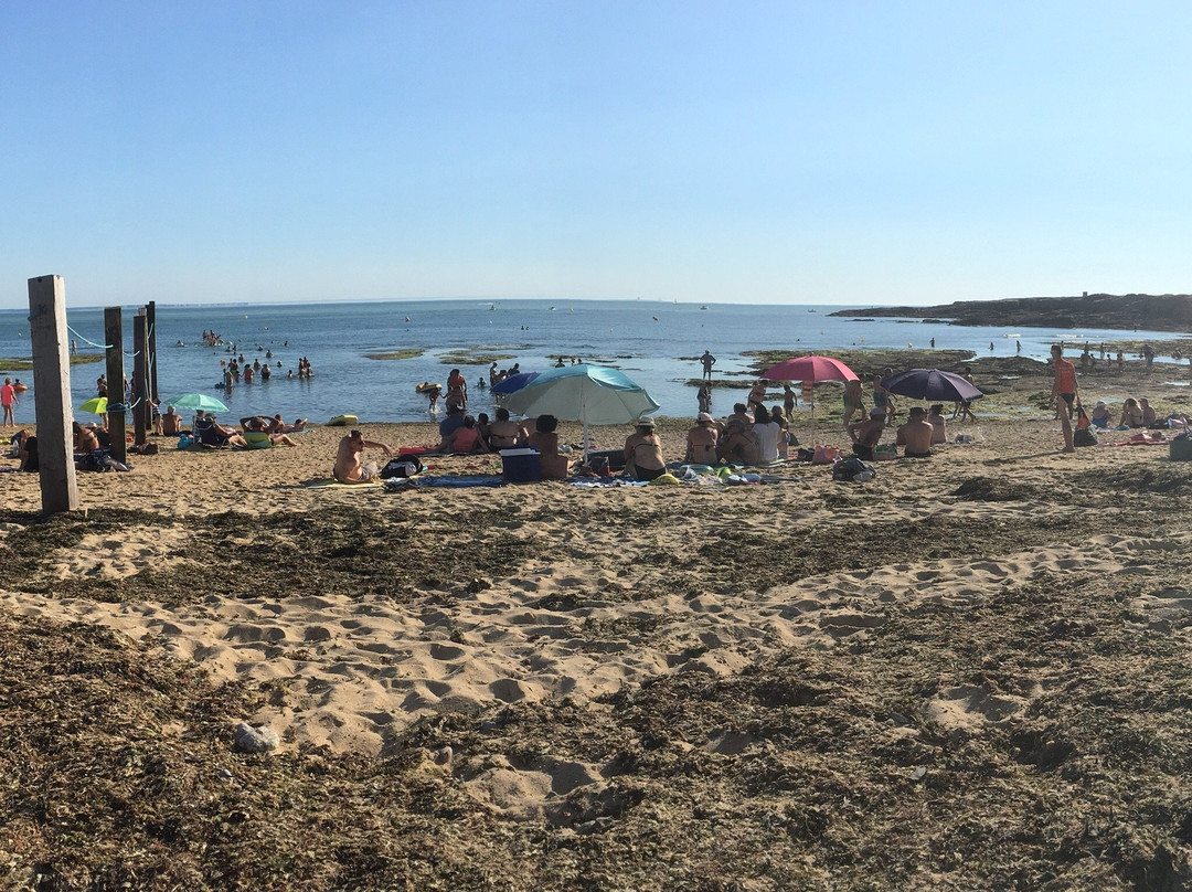 Plage Anse Du Sud景点图片