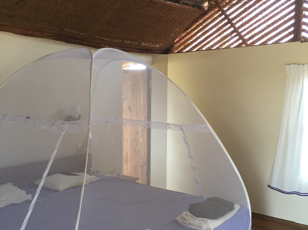 Whisky Point Surf Cabana主图