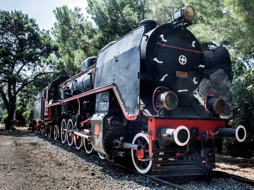 Camlik Locomotive Museum景点图片