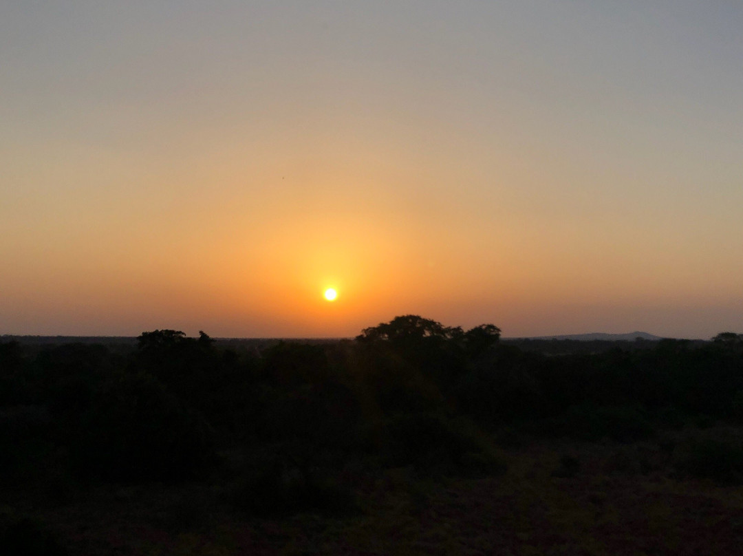 Serengeti Balloon Safaris-鲁阿哈国家公园必去景点