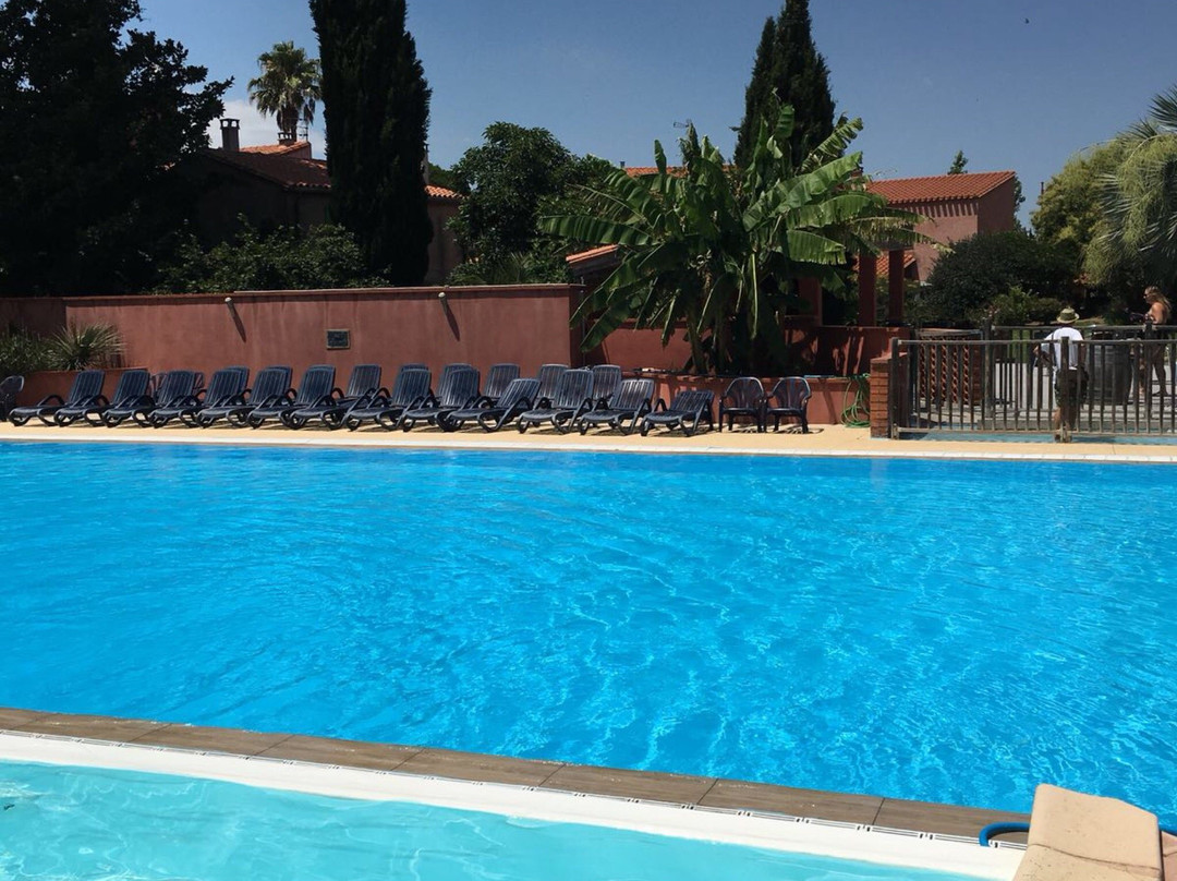 Palau del Vidre旅游攻略图片