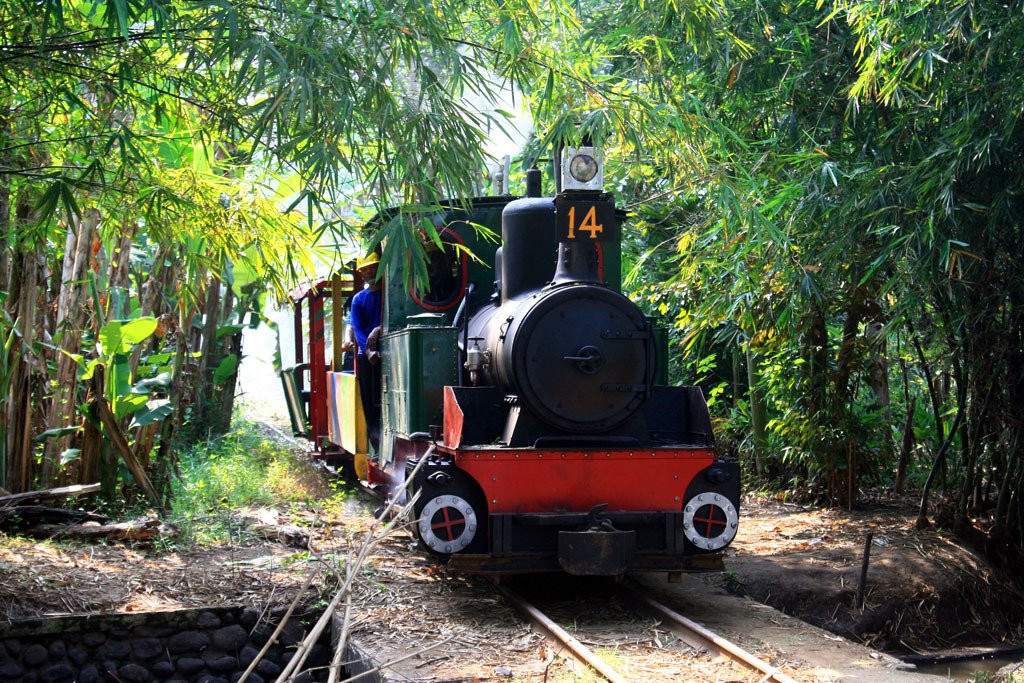 Kedawung Agro Selfie-巴苏鲁安必去景点