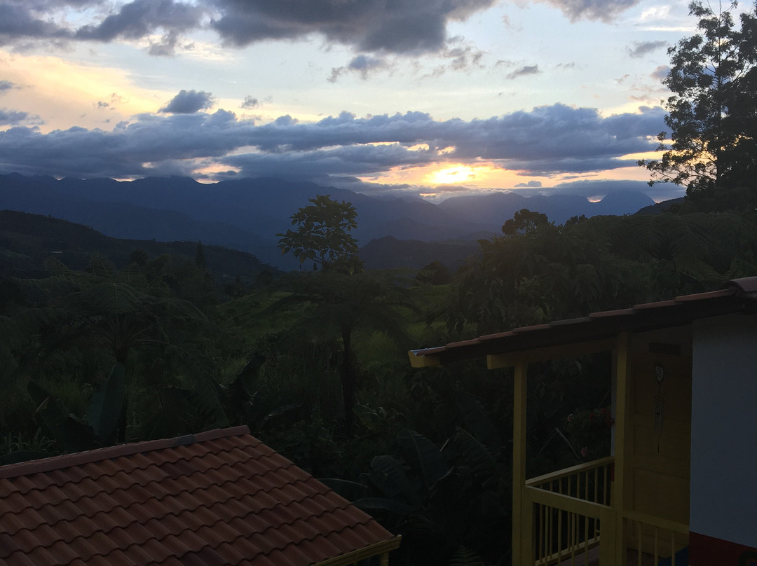 La Divina Providencia主图