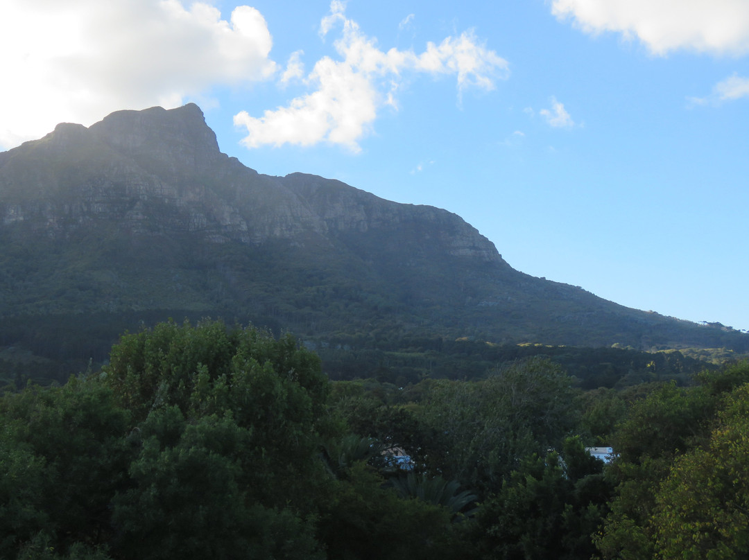 葡萄园温泉酒店主图