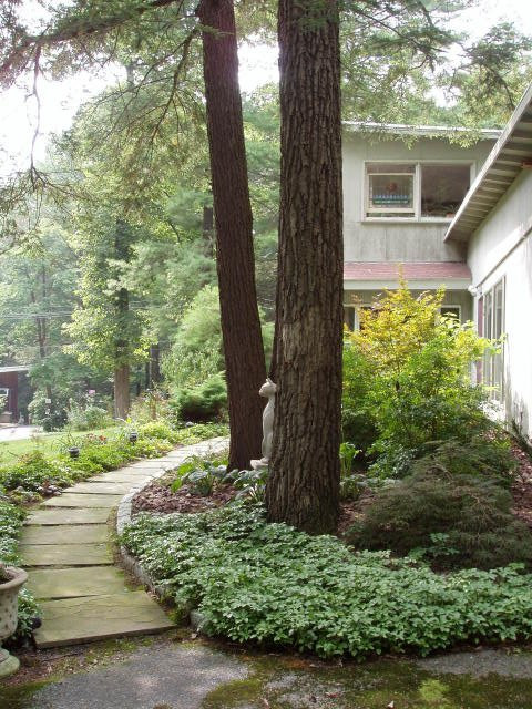 Inn the Woods Bed and Breakfast主图