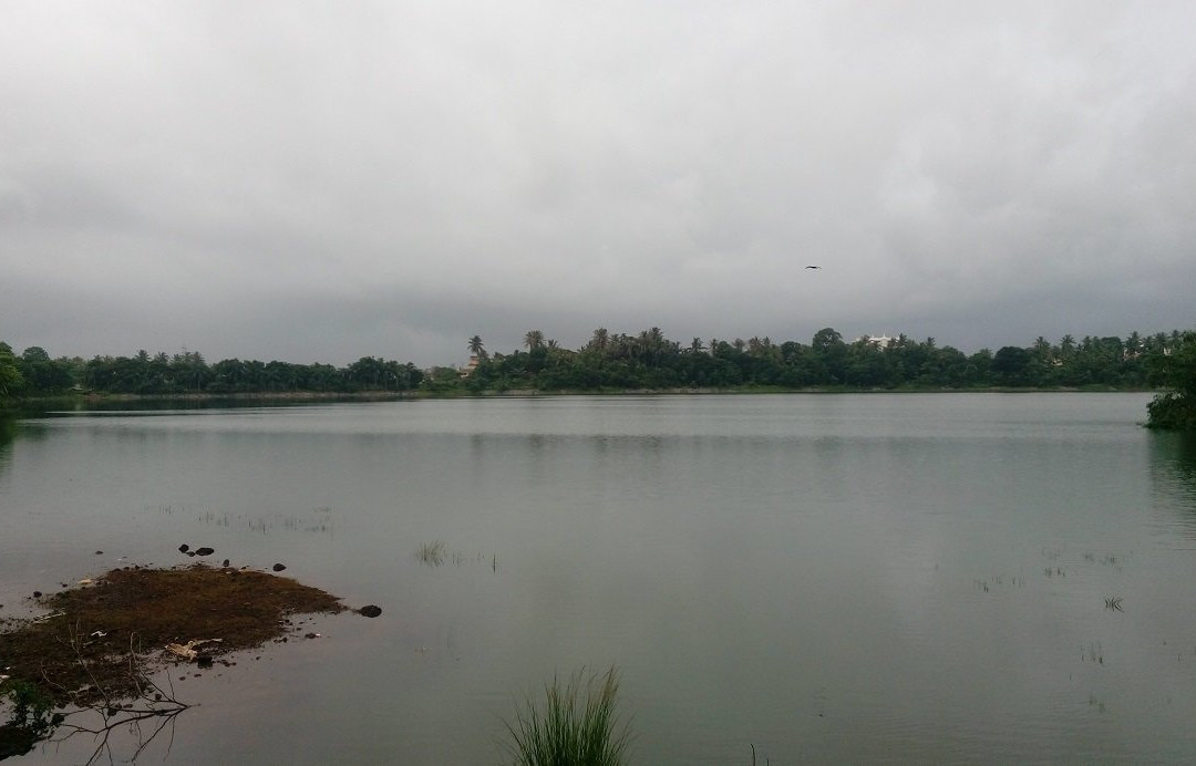Manipal Lake景点图片