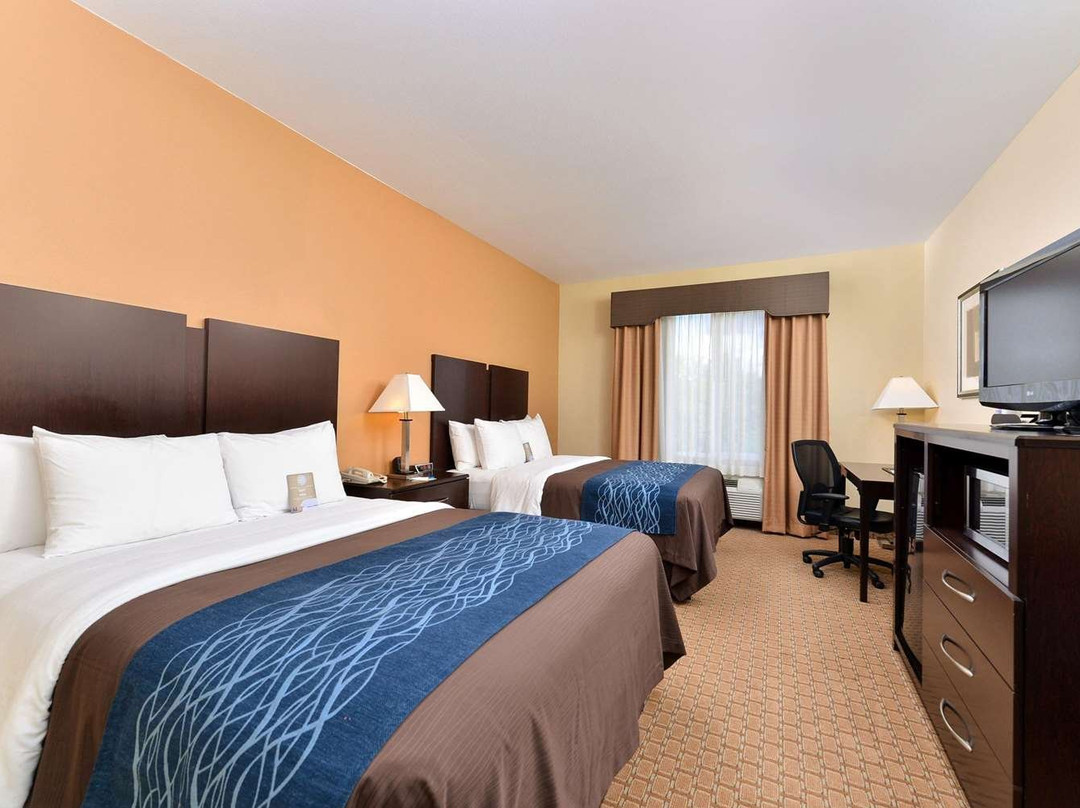 梅西亚快捷假日&套房酒店主图