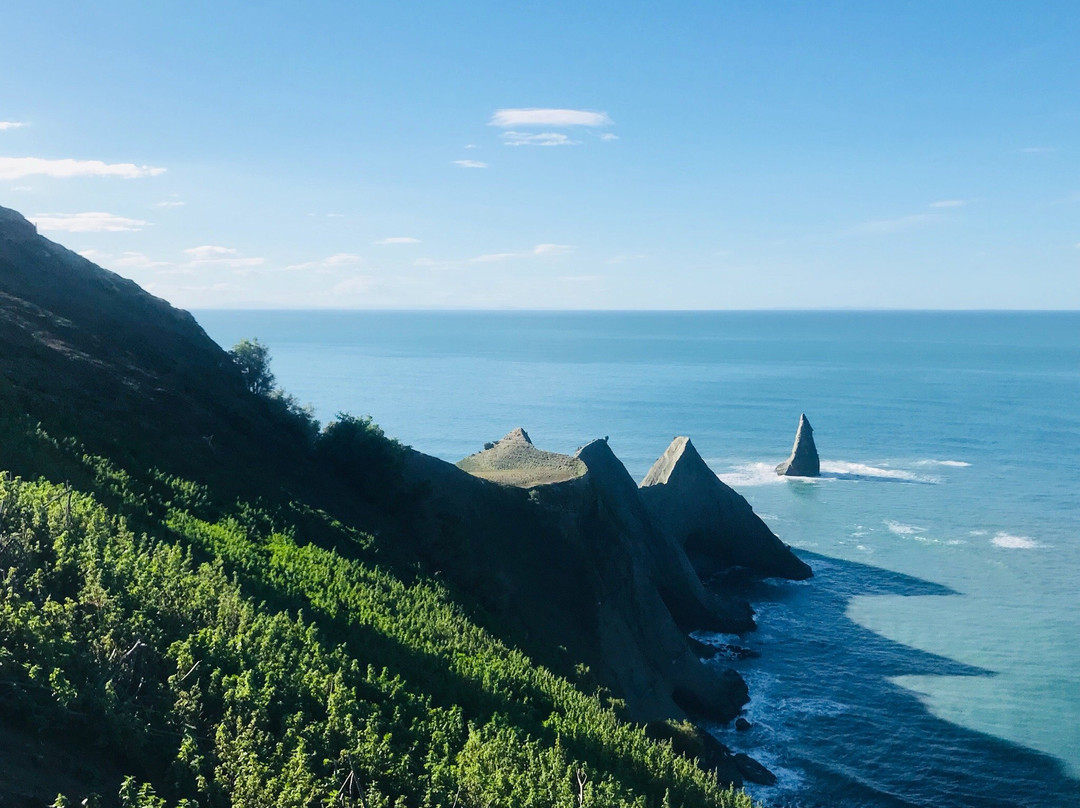 Cape Kidnappers景点图片