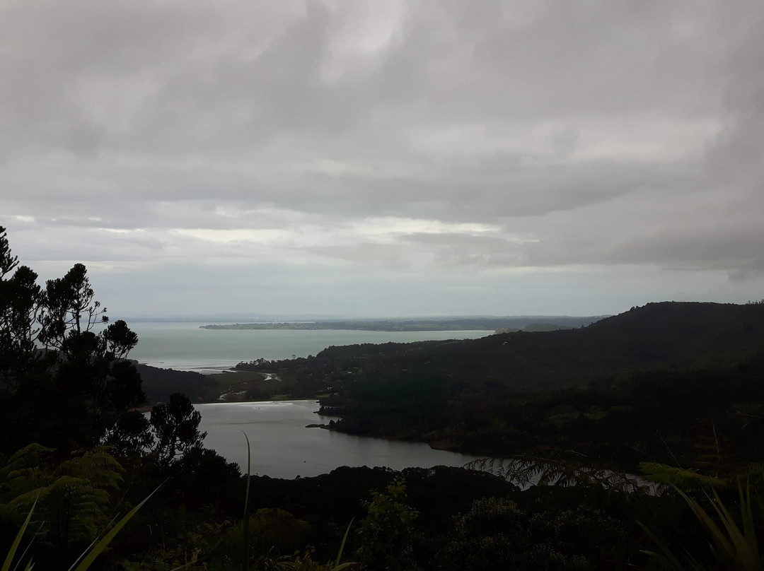 Auckland Wine Trail Tours景点图片