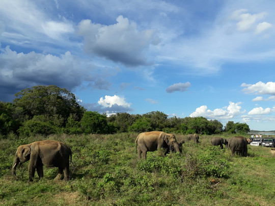 Chamara Tours-班托塔必去景点