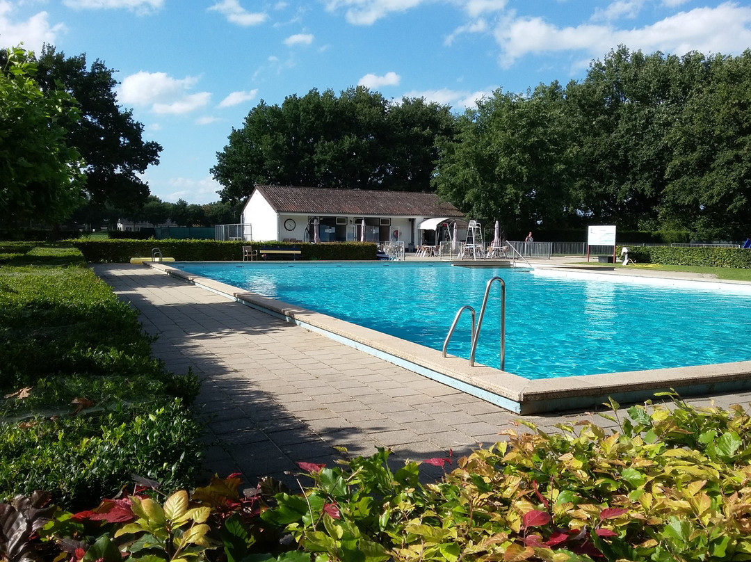 Zwembad 't Ligteveld景点图片