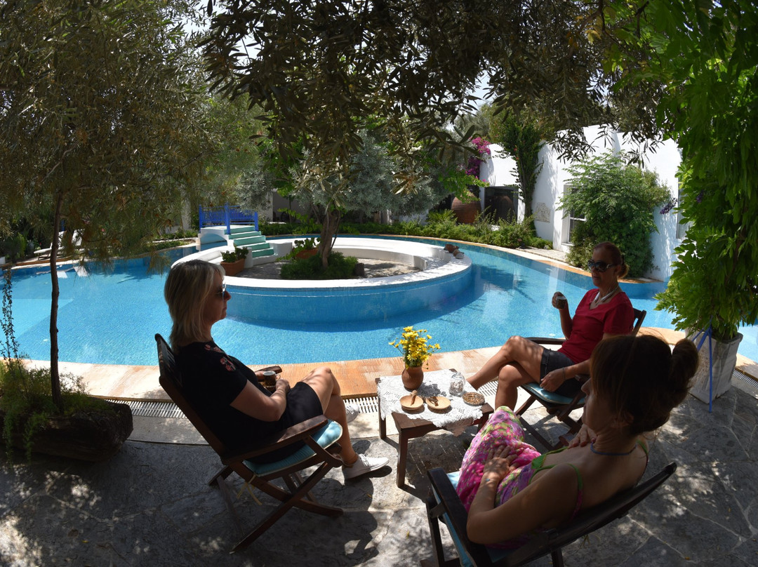 Villa Oliva Butik Hotel主图
