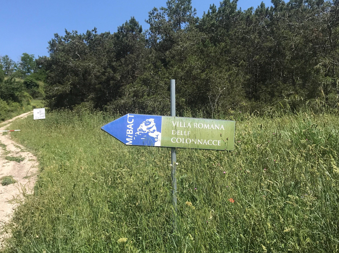 Oasi LIPU Castel di Guido-罗马必去景点