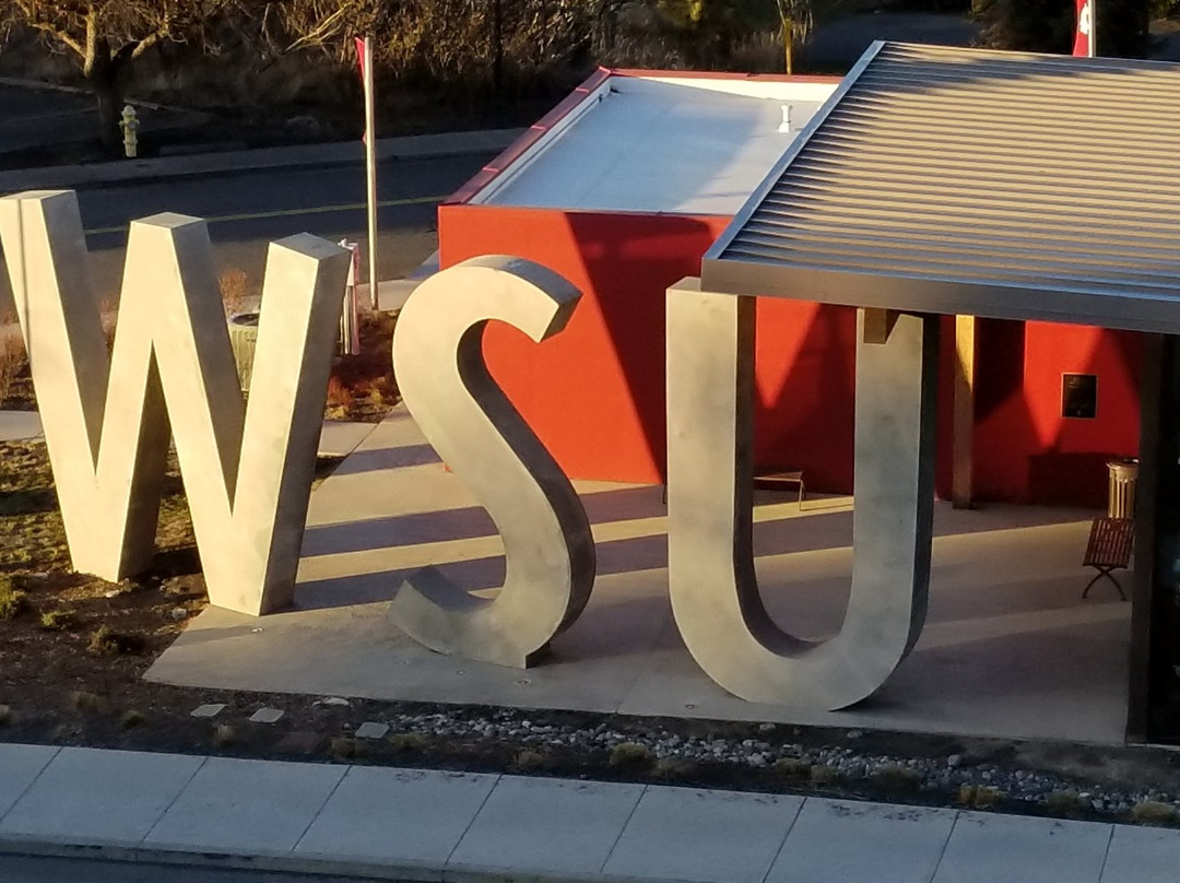 Cougar Land Motel主图