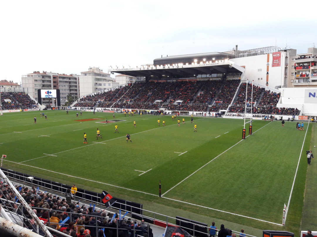 Stade Mayol景点图片