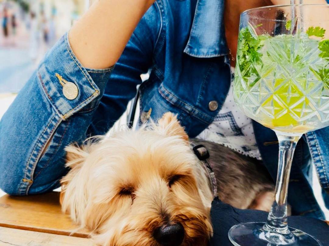 Alchemy Bar-巴利托必去景点