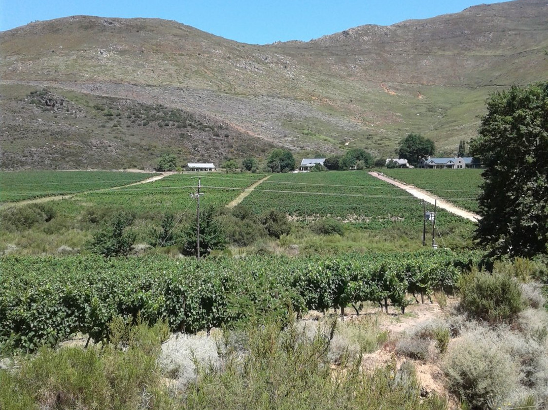 Franschhoek Cycles-法兰舒克必去景点