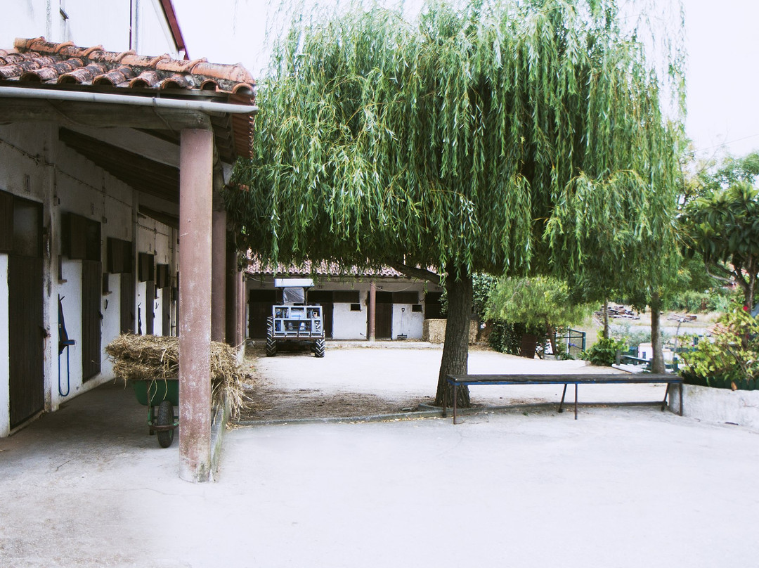 Clube Hipico Quinta de Santo Antonio景点图片