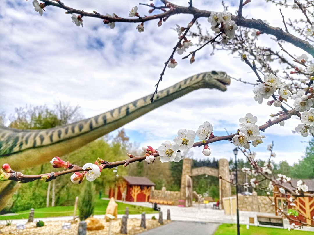 Belgorod Dinopark景点图片