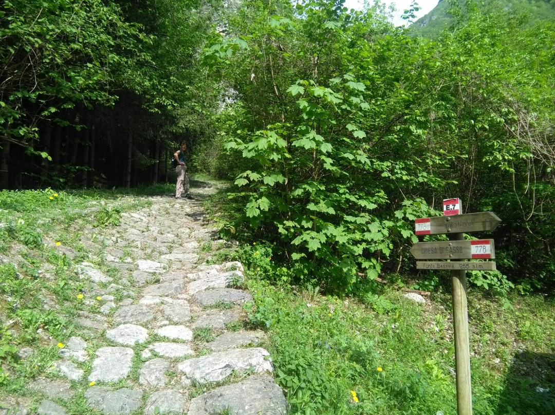 La Cala del Sasso景点图片