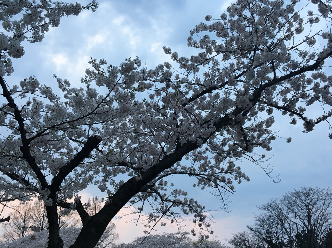 Gappo Park-青森市必去景点
