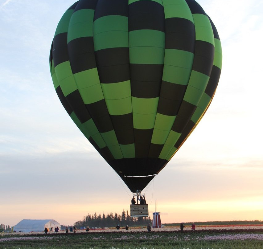 Willamette Valley Balloons-Donald必去景点