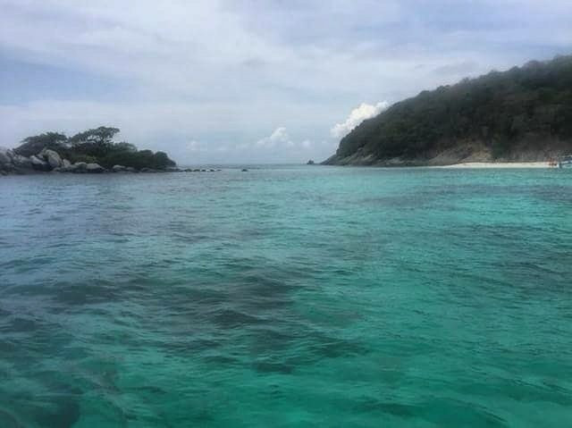 Big Game Fishing Tours & Liveaboard Charters - Day Tours-查龙必去景点