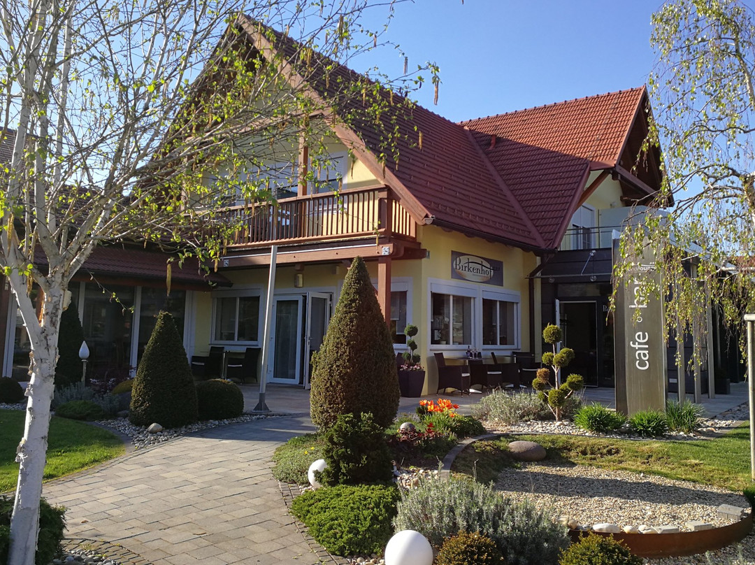 Birkenhof Hotel主图