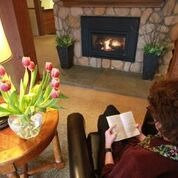 Silver Fox Inn主图